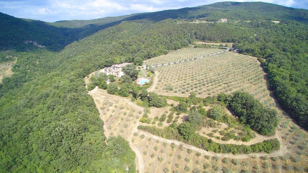 Villa Le Bolli Radicondoli Buitenkant foto